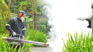 Pest Control for Hotels in Warden, WA